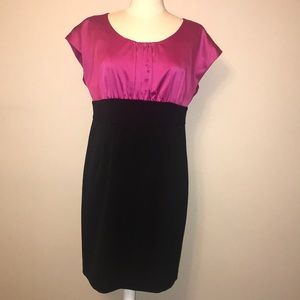 The Limited Fushia & Black Dress